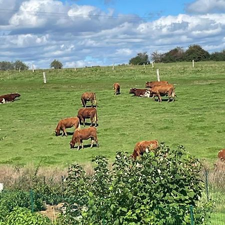 Le Gite Du Vieux Chene Bertogne Bagian luar foto